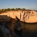 Terraco Daniel